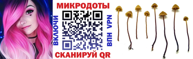 МЕГА ТОР Тара Псилоцибиновые грибы Magic Shrooms
